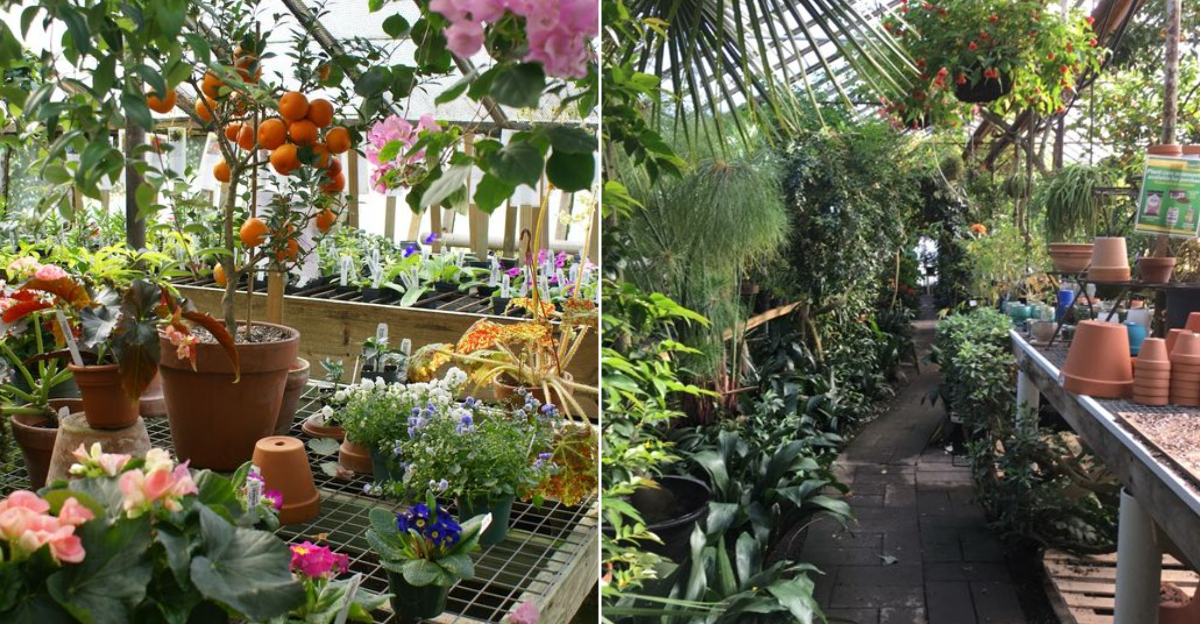 A Groovy Connecticut Greenhouse That Feels More Like A Day Trip Than A Quick Plant Run - Decor Hint