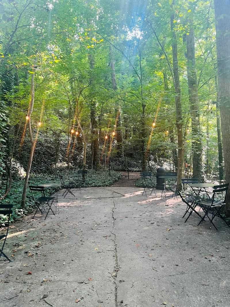 Morning Light Filters Through The Leaves Around Every Seat