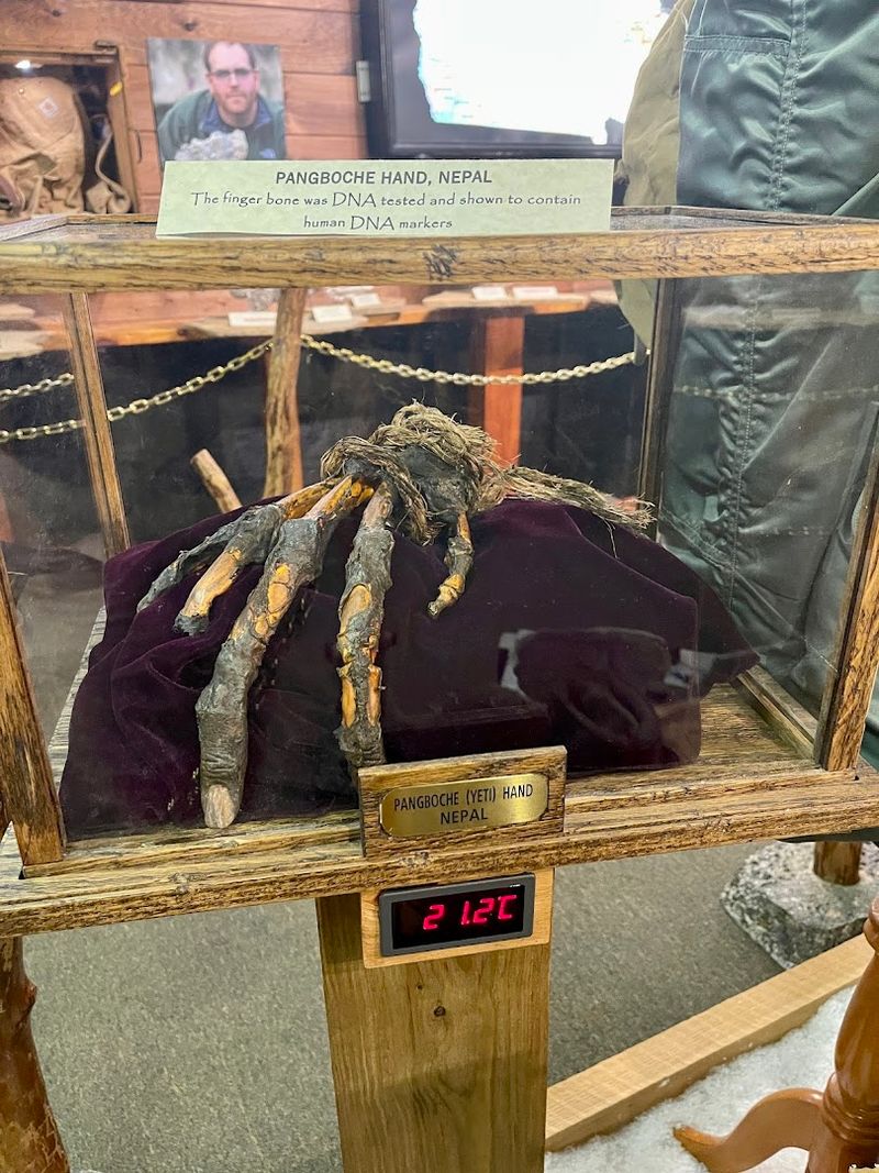This Fascinating Georgia Museum Is Devoted Entirely To The Long Hunt For Bigfoot - Decor Hint Hair Samples And Physical Evidence Displays
