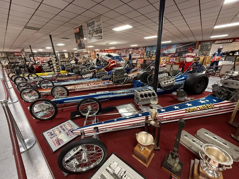 The Swamp Rat Collection Explained