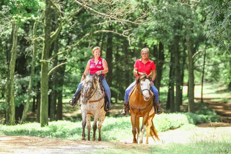 This Georgia Horse Farm Offers The Kind Of Adventure That Changes Your Perspective - Decor Hint Twice-Daily Riding Schedule With Freedom To Explore