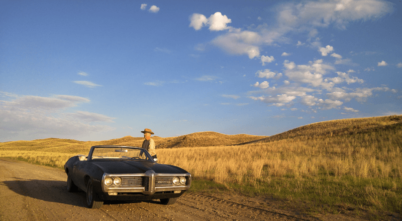 A Landscape That Earns Your Attention
