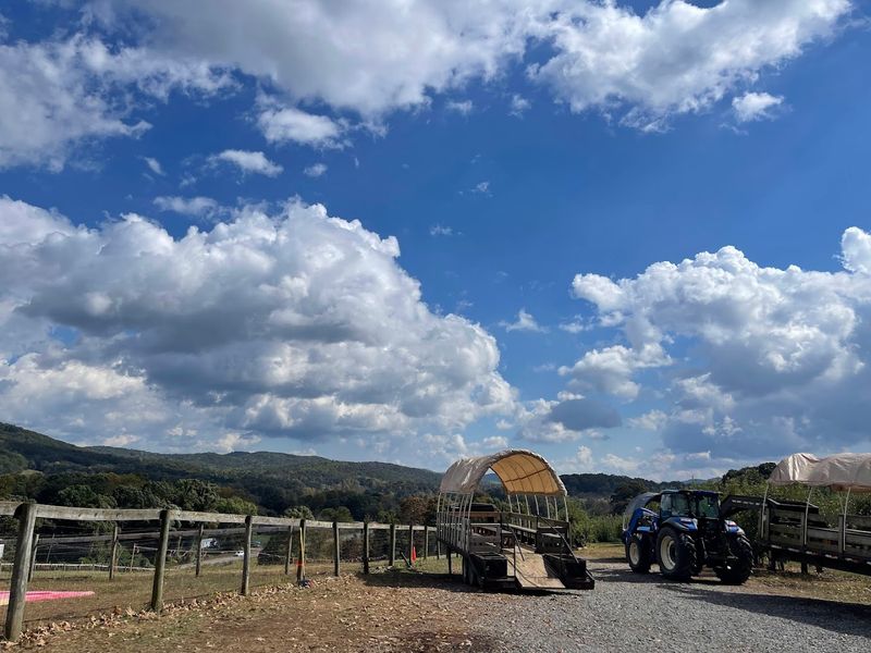 Tractor Rides That Carry You Straight To The Apple Trees