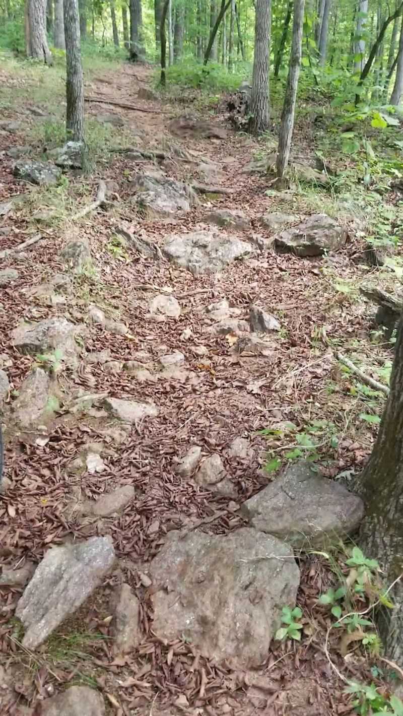Trail Running Opportunities Across Varied Terrain