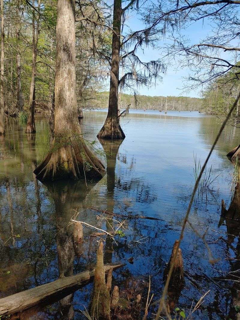 The Lake That Changes Everything