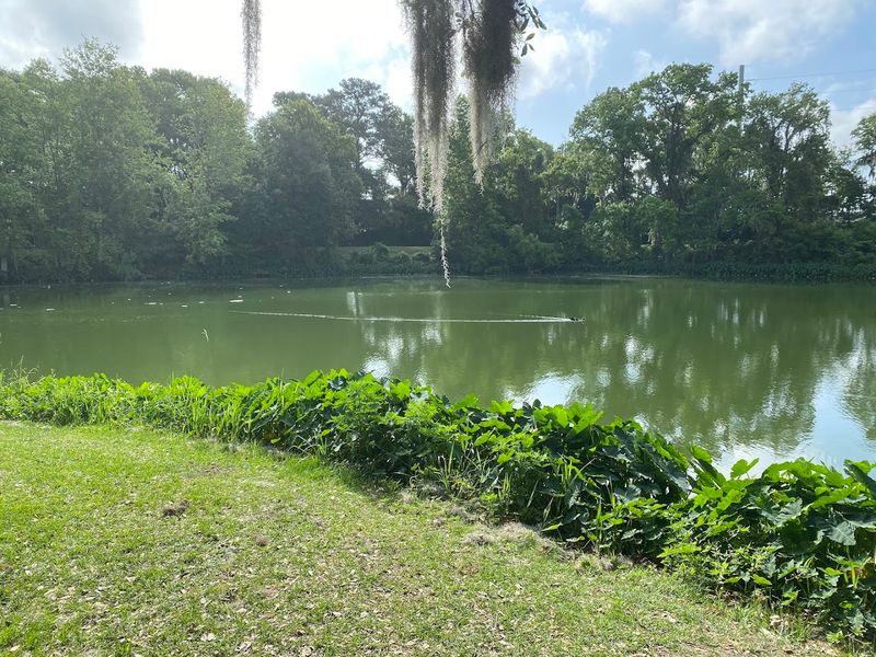 Lake Mayer: The Scenic Reward At The End Of The Path
