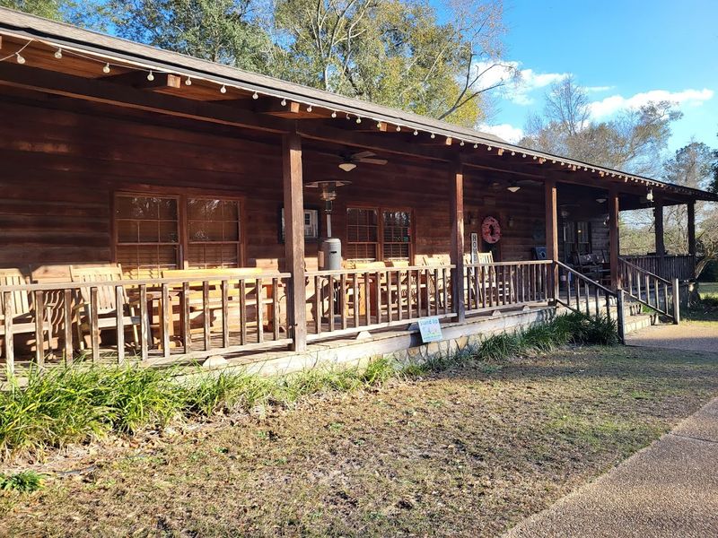 Family-Friendly Dining With A Comfortable Vibe