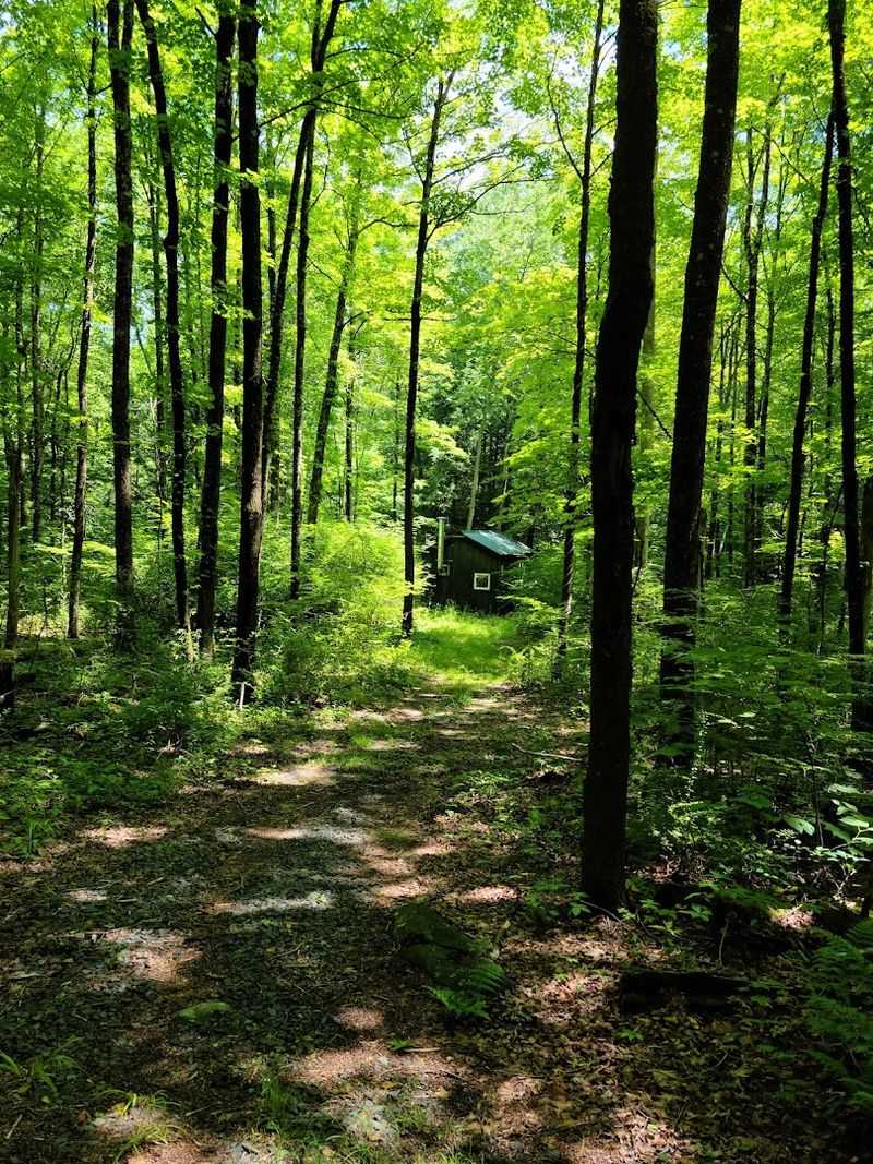 The Beach At This Connecticut State Park Is A Favorite Among Those Who Know It - Decor Hint Helpful Tips For Planning Your Visit