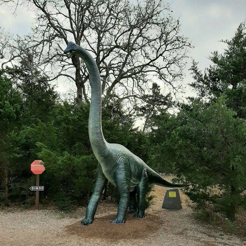 The Gift Shop Is A Dinosaur Lover's Dream Come True