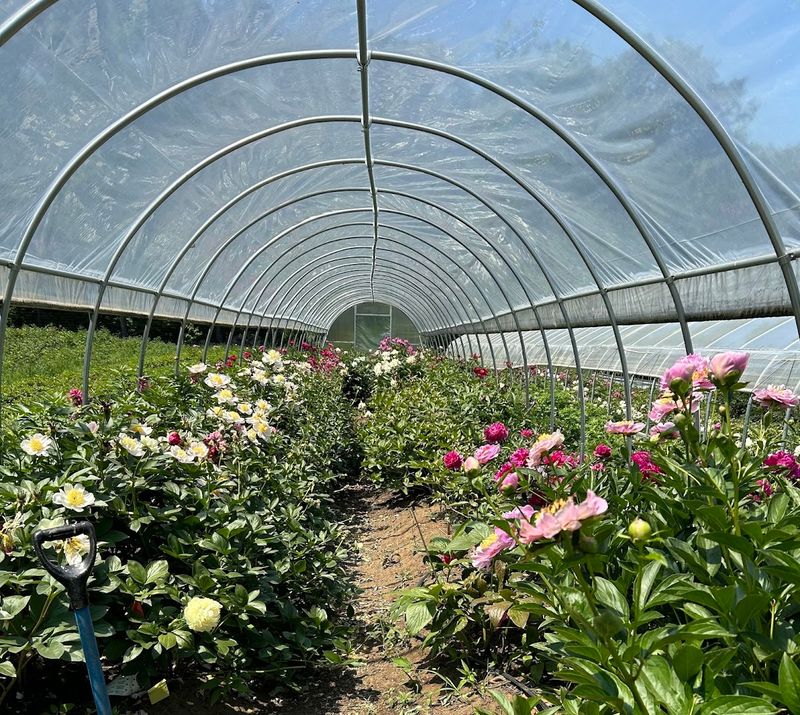 What Makes This Nursery Different