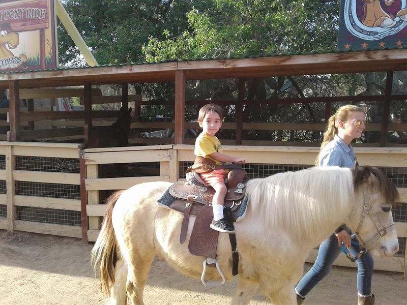 This California Petting Zoo Turns Simple Farm Visits Into Big Family Memories - Decor Hint Pony Rides Give Kids A Classic Farm-Day Moment