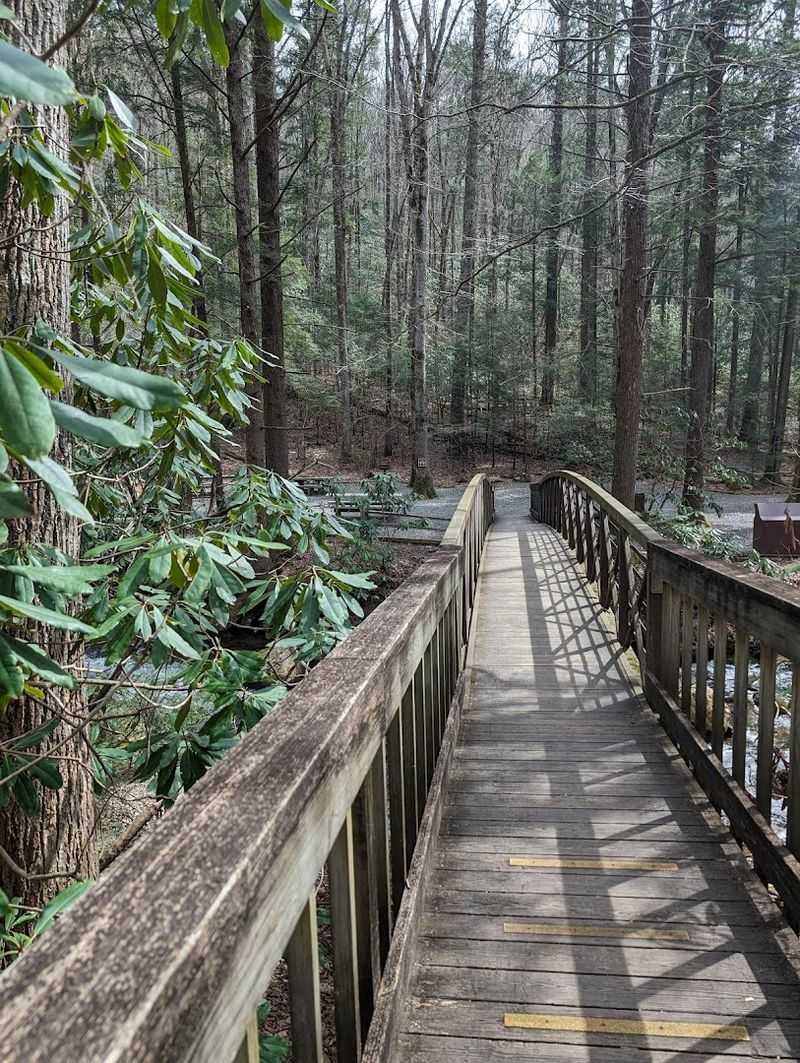The Paved Trail That Welcomes Almost Every Kind Of Visitor