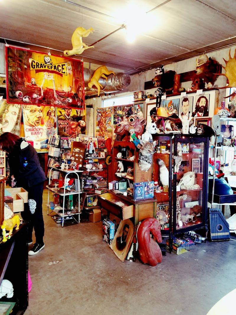 Taxidermy And Oddities That Make Every Corner Surprising