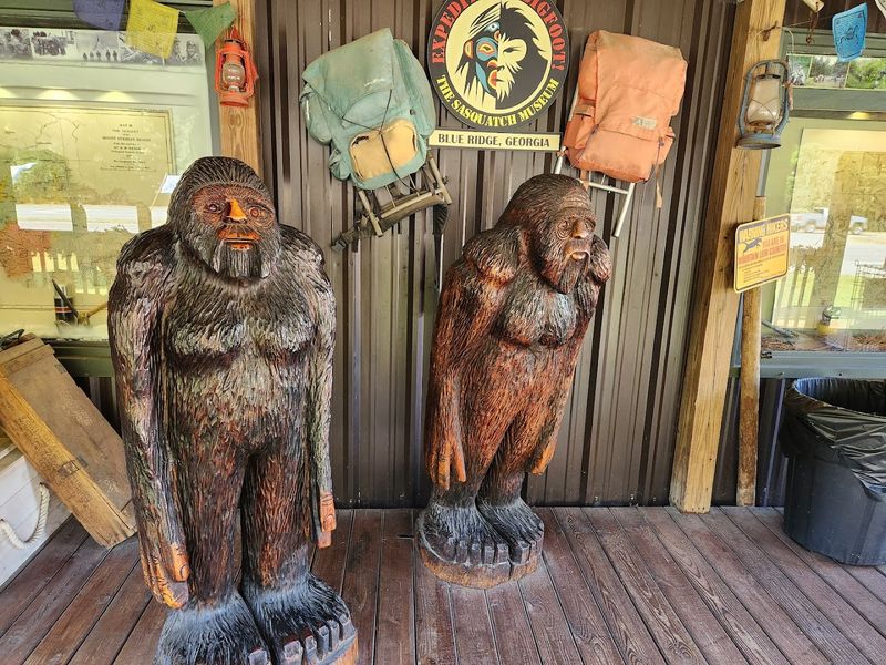 This Fascinating Georgia Museum Is Devoted Entirely To The Long Hunt For Bigfoot - Decor Hint Friendly, Knowledgeable Staff Who Make The Visit Better