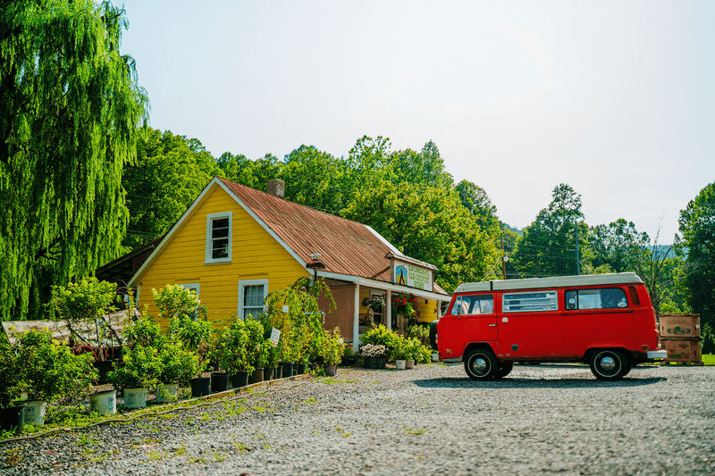 Small-Town Shopping With North Carolina Character