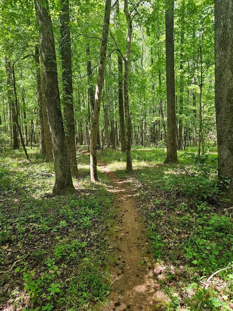This Underrated State Park In Georgia Is So Little Known That Even Locals Don't Know It Exists - Decor Hint Equestrian Trails That Riders Rave About