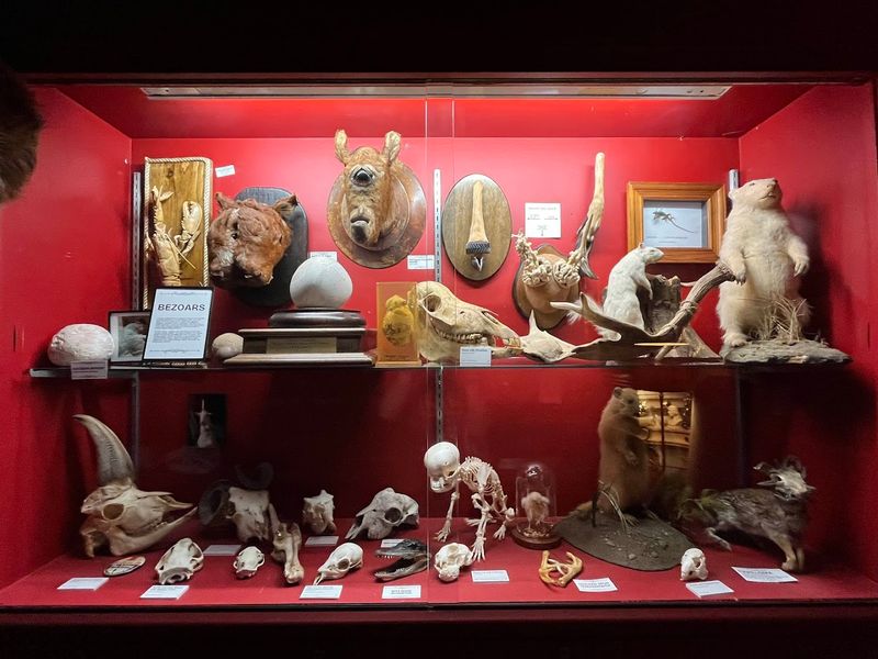 Rotating Exhibits That Make Every Visit Feel New