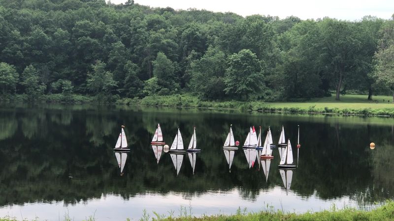Why Families Settle In