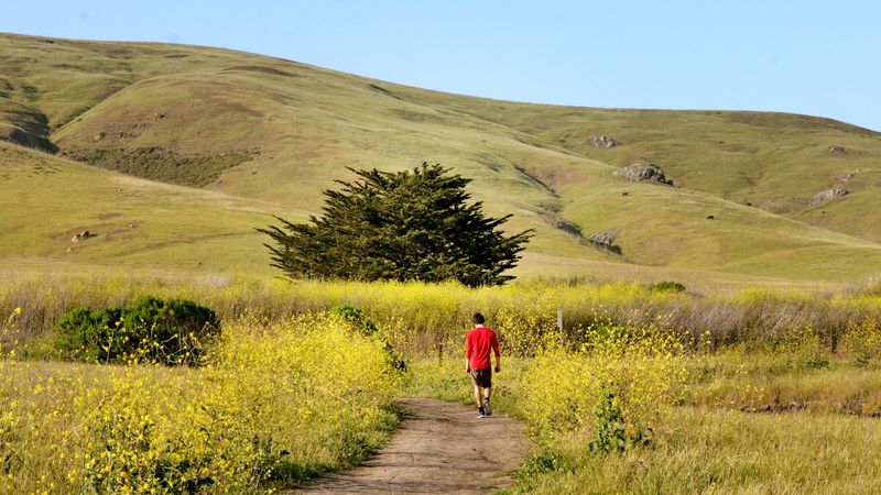 This Tiny State Park In California Will Melt All Your Stress Into Calm - Decor Hint Bluff-Top Trails That Feel Easy, Not Exhausting