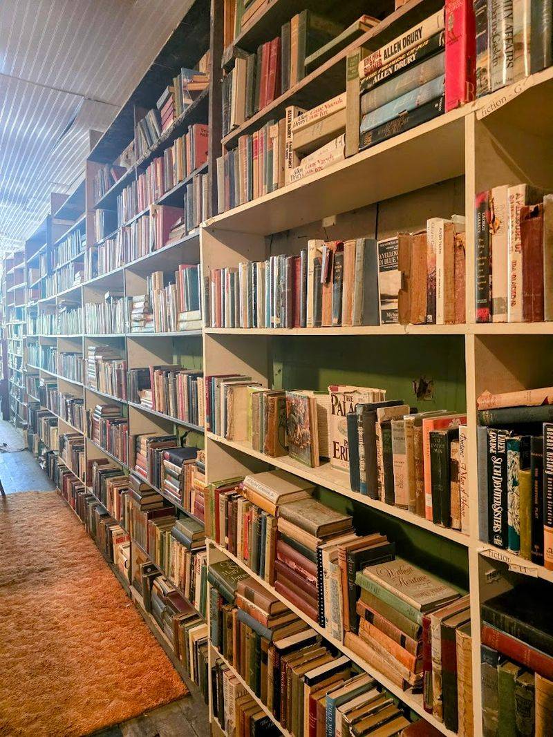 Old, Antique, And Vintage Books Available Alongside New Titles