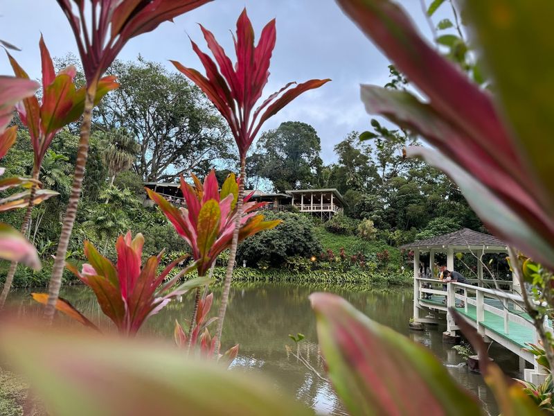 The Garden Itself Is A Destination