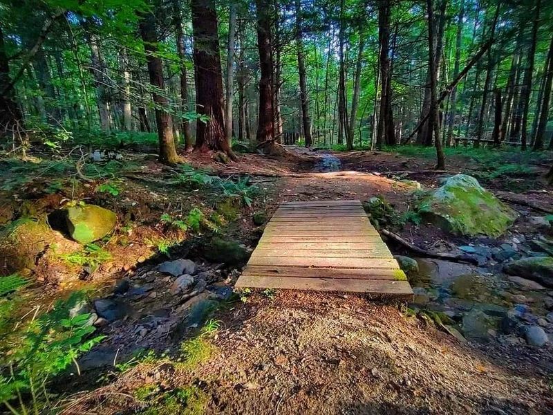 A Short Hike With A Big Payoff
