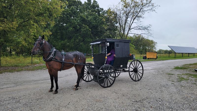 Amish Culture Up Close