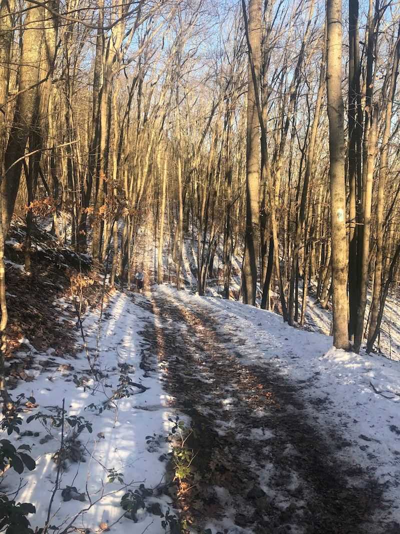 Rocky Paths And Wide-Open Scenery