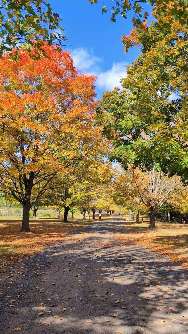 Best Time To Wander The Grounds