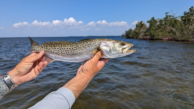 World-Class Fishing And Boating