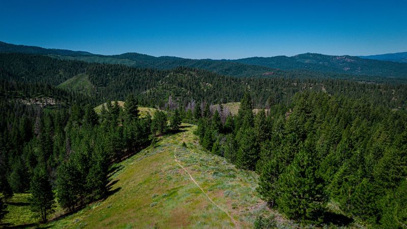 Boise National Forest Gives The Rental Its Quiet Backdrop