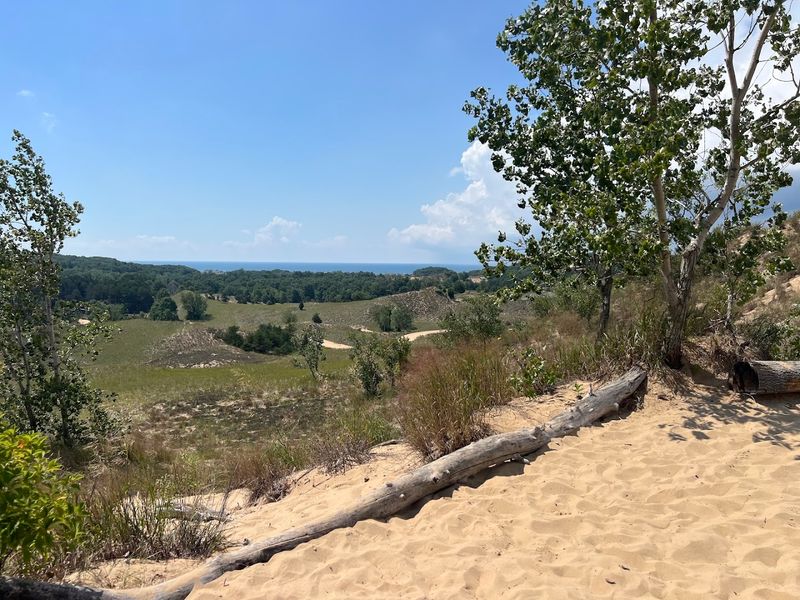This Scenic Michigan Lake Town Is Capturing Hearts Across America - Decor Hint Sand Dunes That Steal the Show