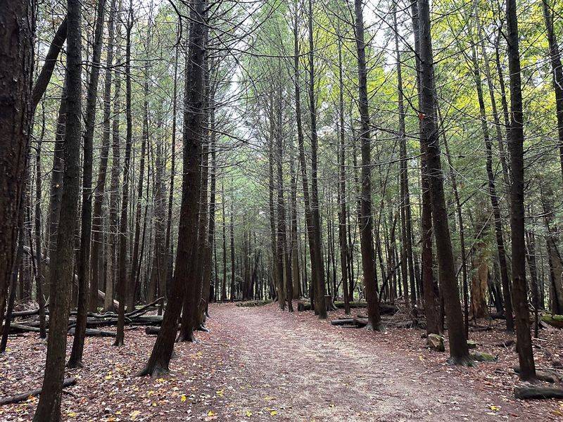 What The Trail Actually Looks Like