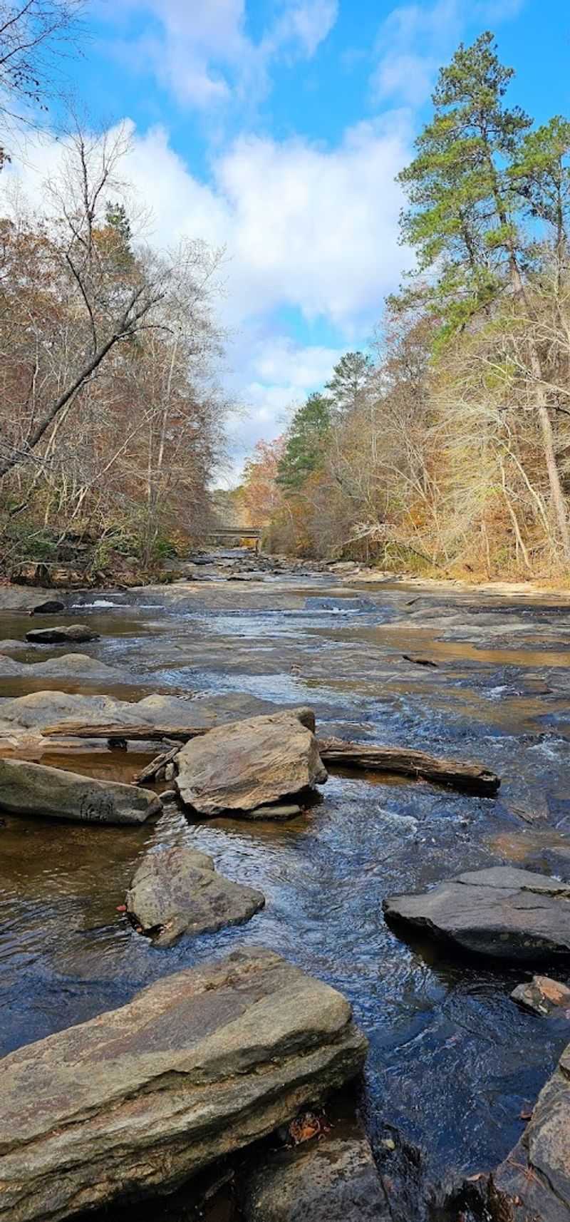 The Georgia Mountain Bike Trail That Feels Like Traveling Back In Time - Decor Hint North And South Loops For Varied Riding Experience