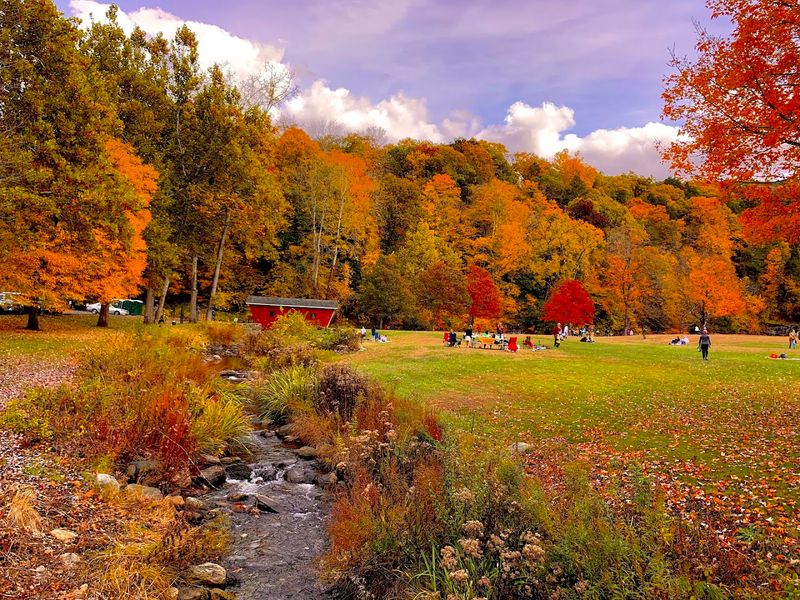 Fall Foliage That Belongs On A Postcard