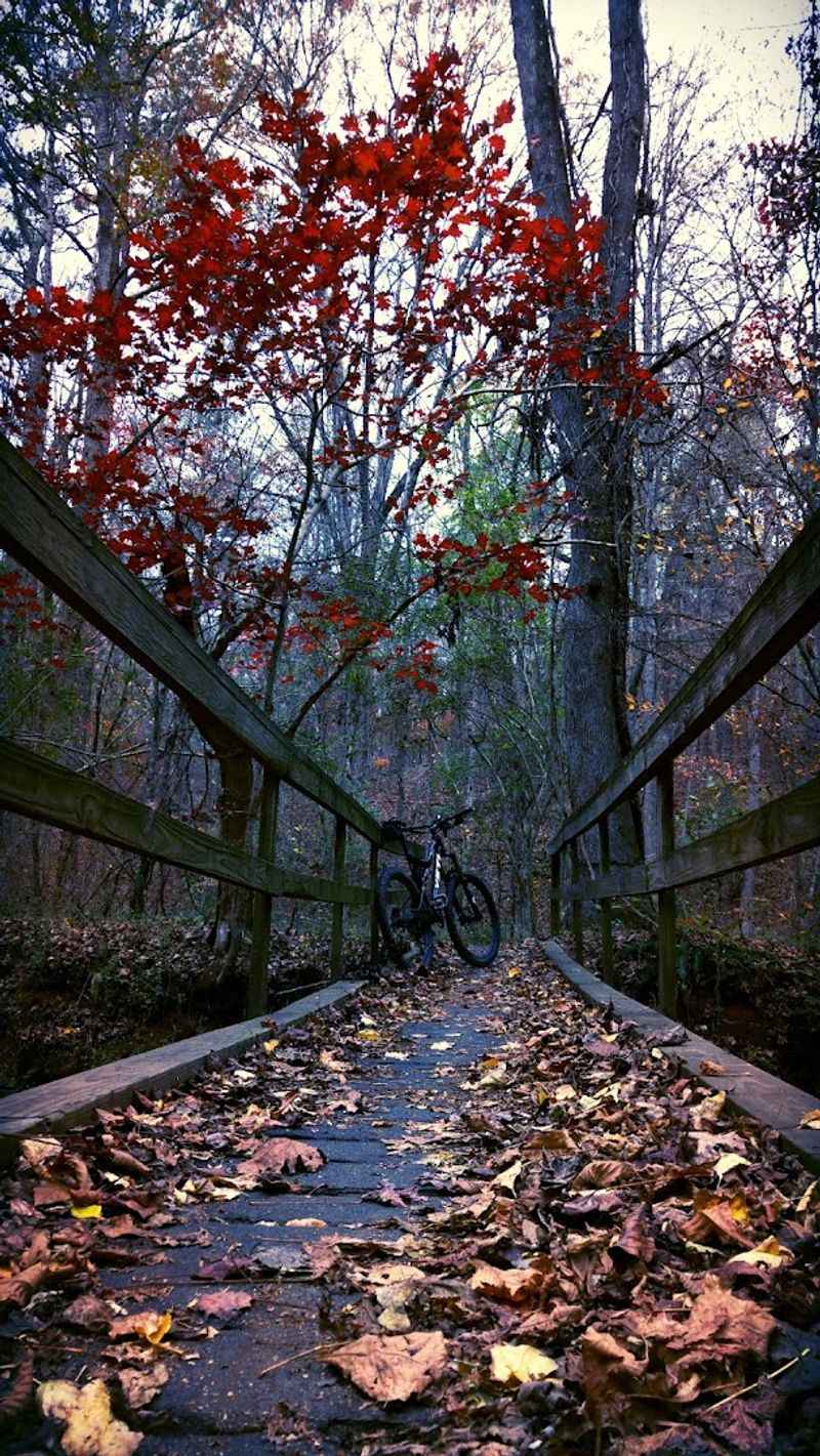 Peaceful Atmosphere That Feels Far From The City