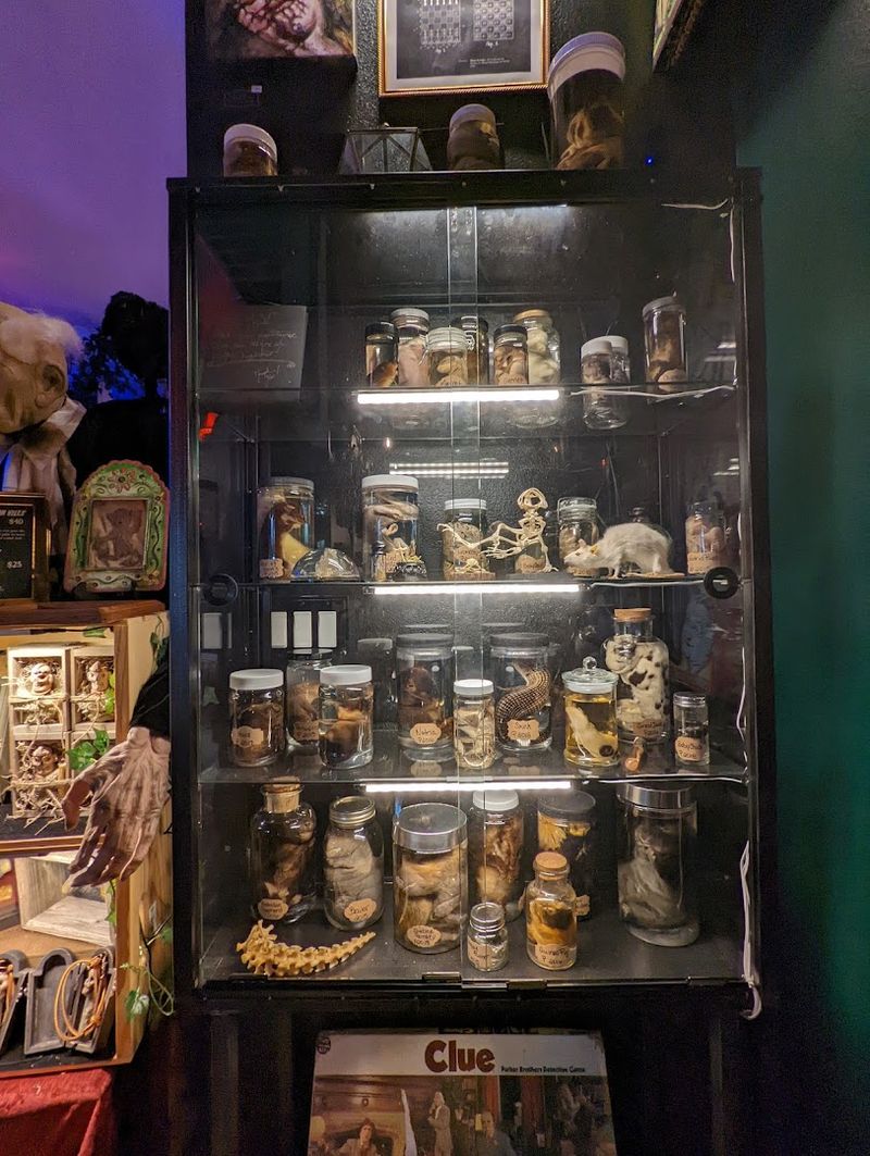 Taxidermy And Biological Specimens Done With Respect