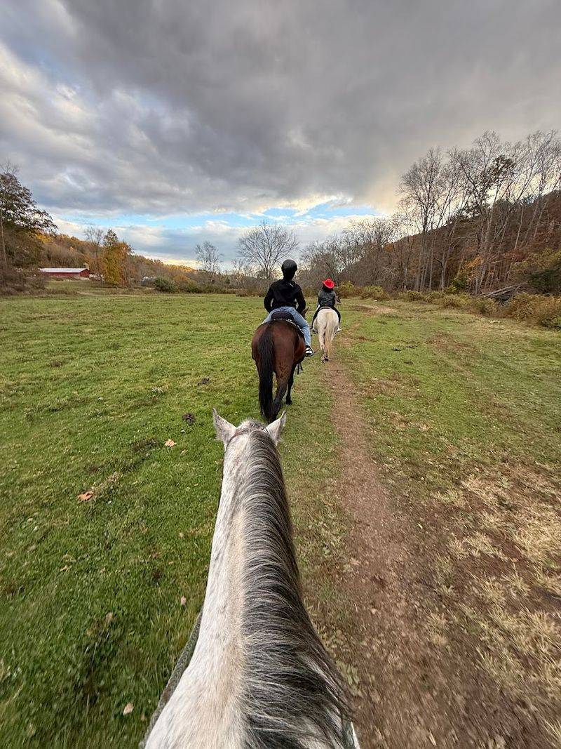 No Riding Experience Needed To Enjoy It