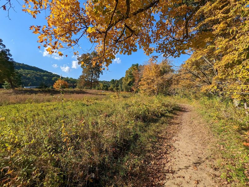 Where Slow Walks Feel Special