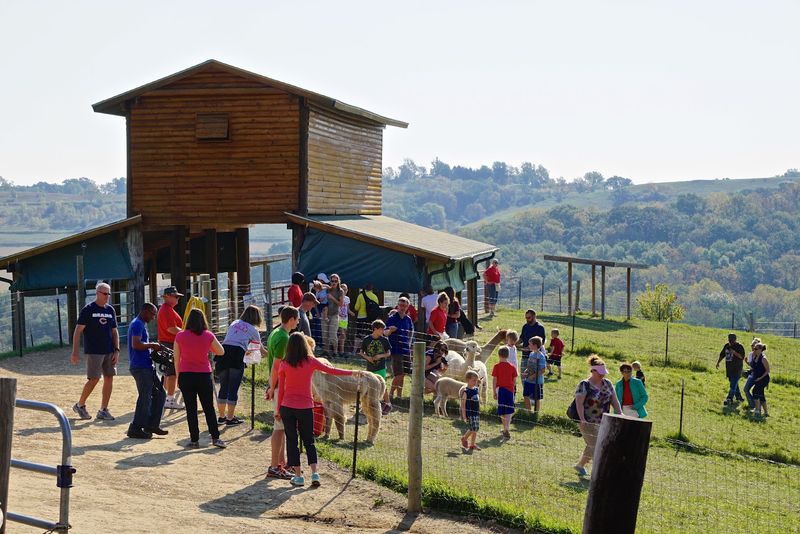 Small-Group Tours That Keep The Experience Relaxed