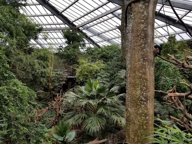 The Animals Living Inside The Dome