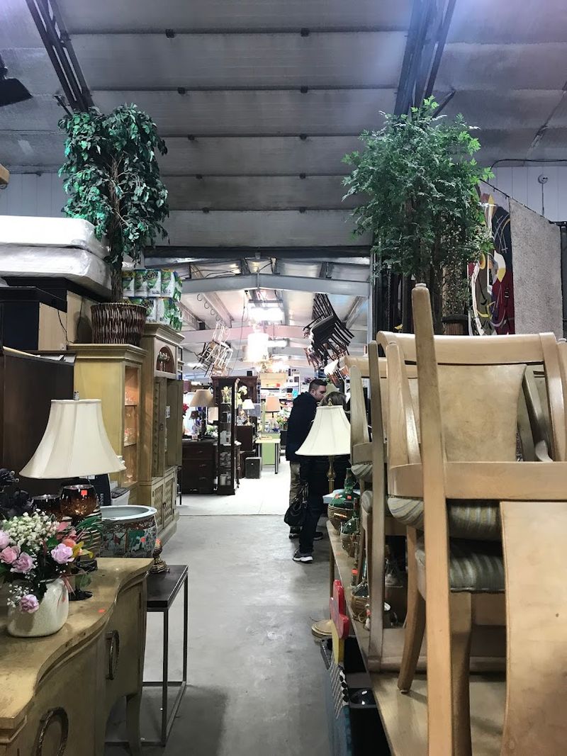 Pet-Friendly Shopping With A Welcoming Atmosphere