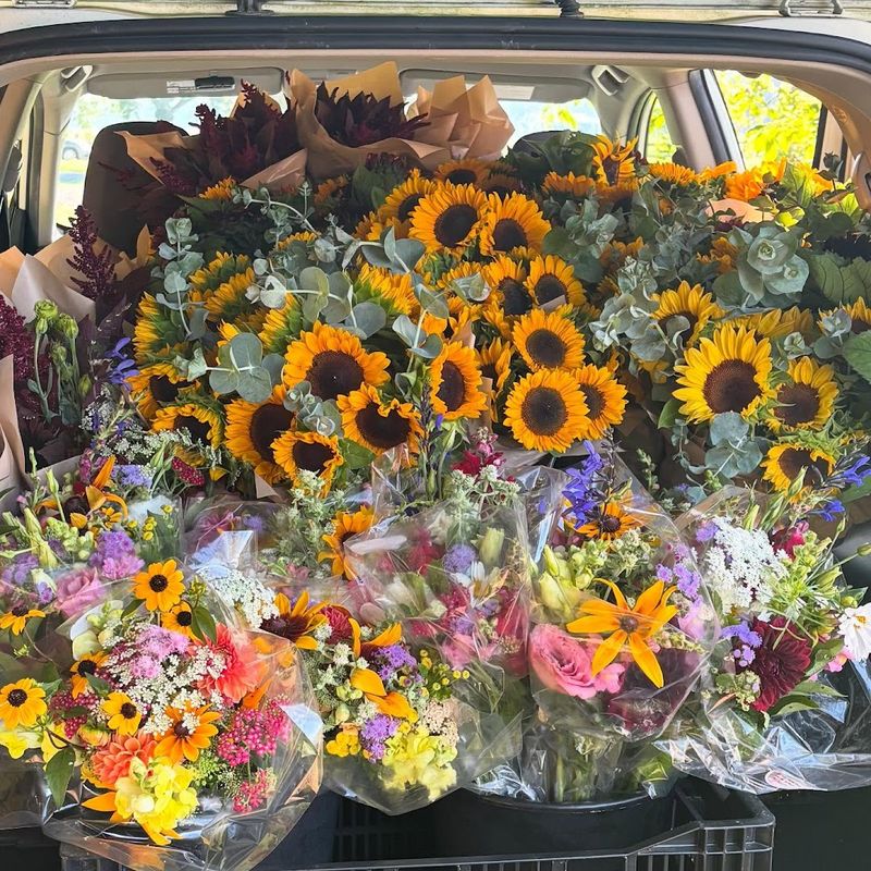 Flower Subscriptions Worth Every Single Dollar