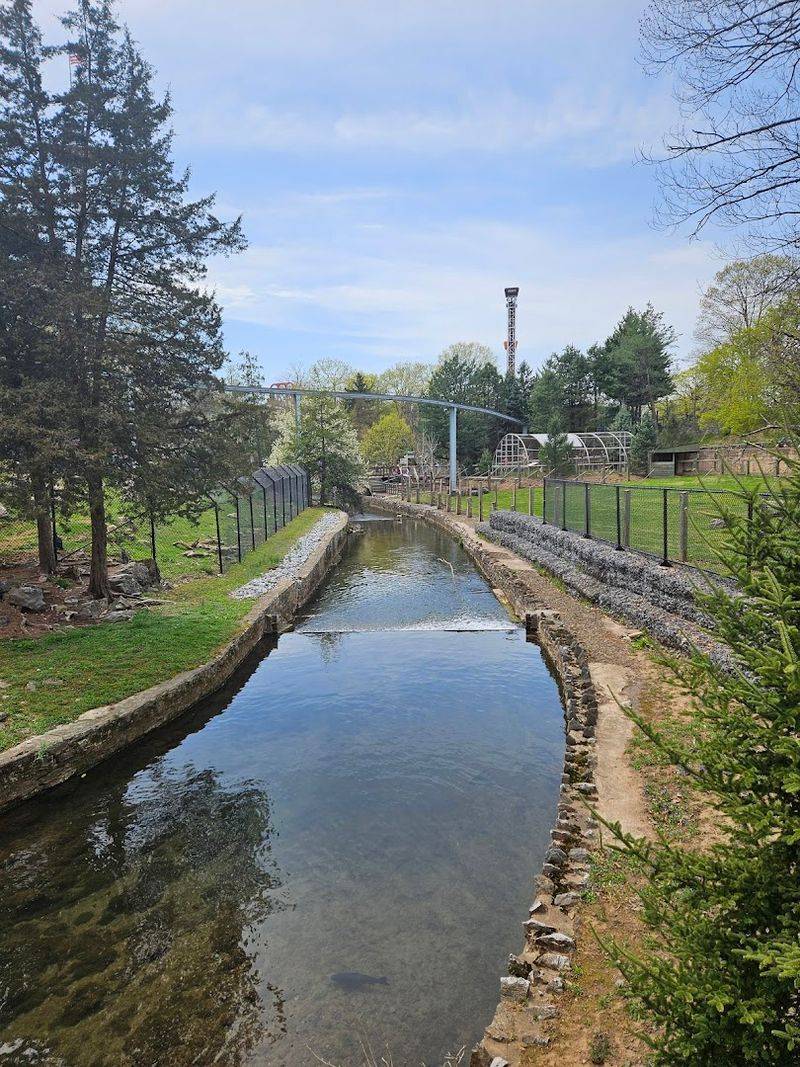 This Pennsylvania Zoo Keeps Winning Over Everyone Who Finds It - Decor Hint Eleven Acres Of Wild North America