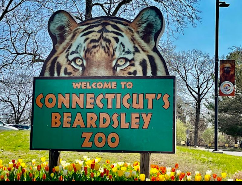 Why Families Love This Smaller Zoo Experience