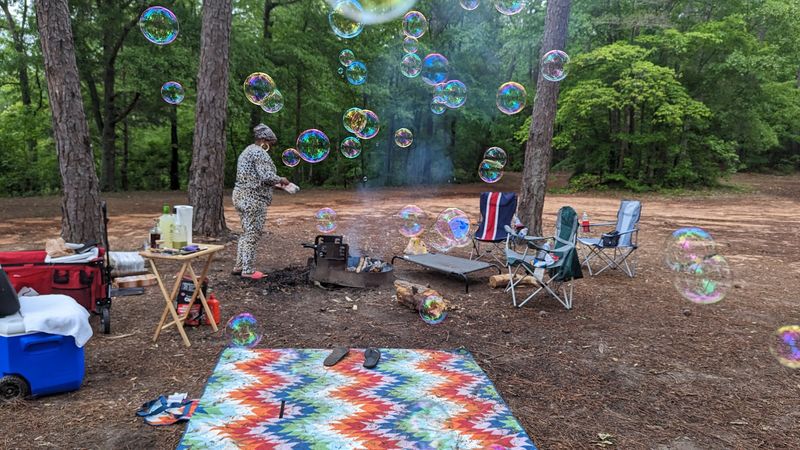 This Underrated State Park In Georgia Is So Little Known That Even Locals Don't Know It Exists - Decor Hint A4uN6QCS1WjhPIGk - Decor Hint