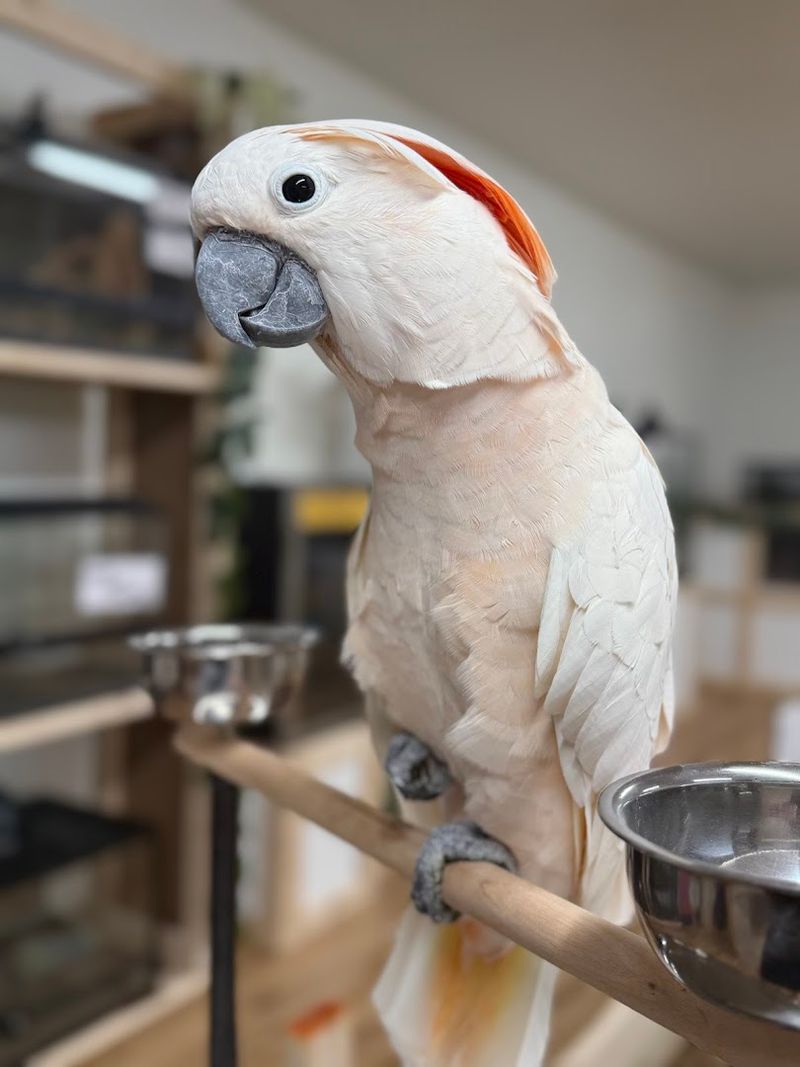 Live Animals That Surprise And Delight Visitors
