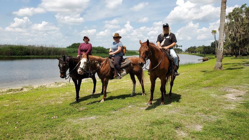 Reckless Ranch Horse Rides, Oak Hill