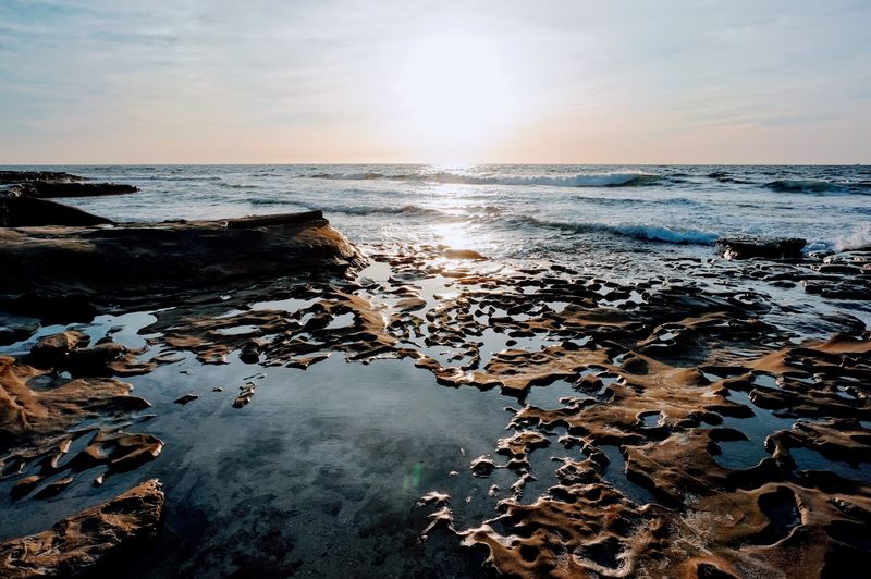 La Jolla Tide Pools, San Diego