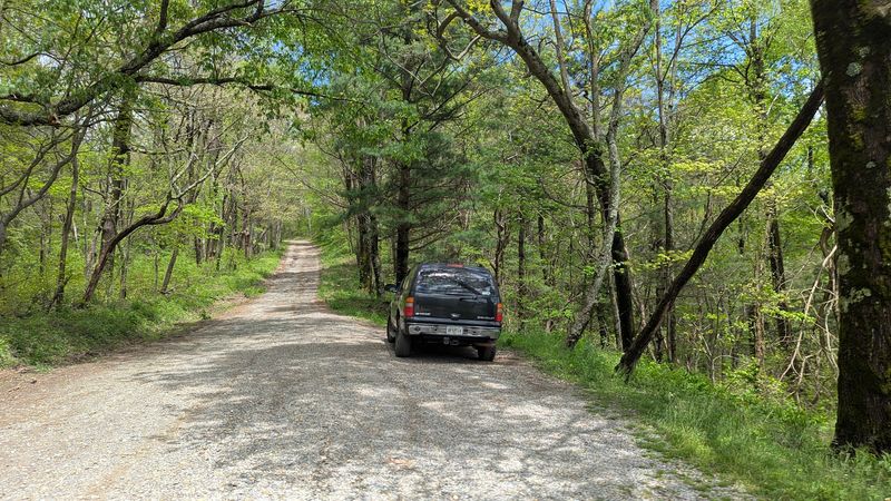 A Drive Through The National Forest That Is An Experience On Its Own